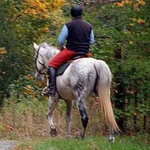 Meet your Posher, Peter